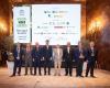 OOWC 2024 – Madrid, capital mundial del aceite de oliva – PugliaLive – Periódico de información online