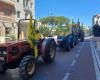Jabalíes: tractores y agricultores en la procesión de Coldiretti en Pescara