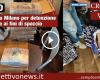 TURÍN – Detenido en Milán por posesión de cocaína con fines de tráfico (VÍDEO)