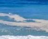 Mar sucio y playas ruinosas en Salerno y Avella: “El municipio y la oficina portuaria intervienen”