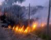 Emergencia de residuos en Ardea: montones abandonados en llamas, árboles y una gasolinera en peligro