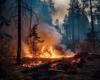 Prevención de incendios forestales: las normas para la quema de residuos vegetales en los campos vigentes desde el 1 de julio