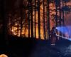 Incendios y encender fuego prohibidos en Toscana a partir del 1 de julio: cómo informar