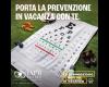 En Terni prevención de verano con controles oculares gratuitos