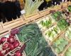 Frutas y hortalizas, los precios suben por el tiempo