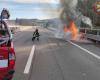 Sicilia, vuelven los incendios entre Agrigento, Trapani, Catania y Palermo